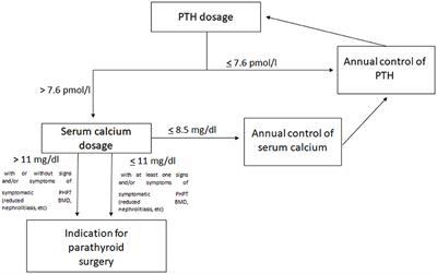 When Parathyroidectomy Should Be Indicated or Postponed in Adolescents With MEN1-Related Primary Hyperparathyroidism